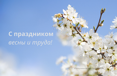 С Праздником Весны и Труда! С Праздником Весны и Труда!
